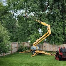 Best Aeration Services  in Palisade, CO